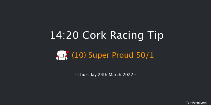 Cork 14:20 Maiden Hurdle 16f Sat 8th Jan 2022