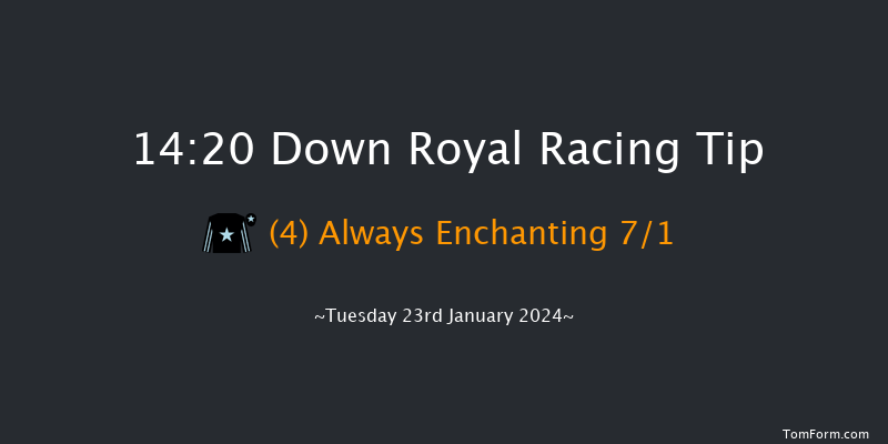 Down Royal  14:20 Handicap
Hurdle 17f Tue 26th Dec 2023