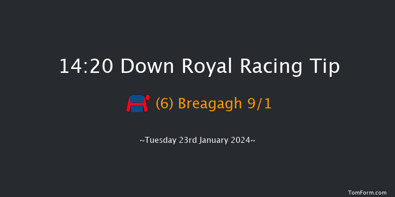 Down Royal  14:20 Handicap
Hurdle 17f Tue 26th Dec 2023