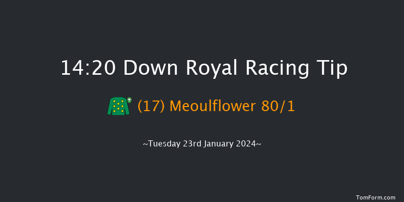 Down Royal  14:20 Handicap
Hurdle 17f Tue 26th Dec 2023