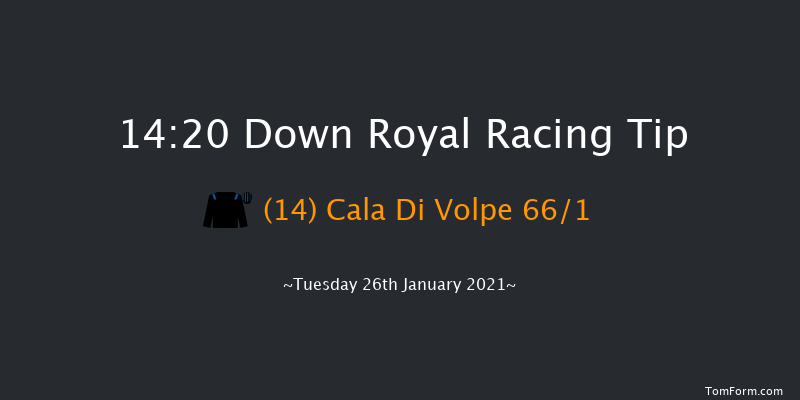 Molson Coors Rated Novice Hurdle Down Royal 14:20 Novices Hurdle 20f Thu 17th Dec 2020