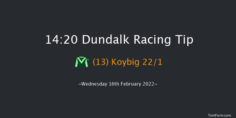 Dundalk 14:20 Handicap 11f Fri 11th Feb 2022