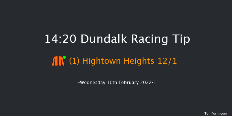 Dundalk 14:20 Handicap 11f Fri 11th Feb 2022