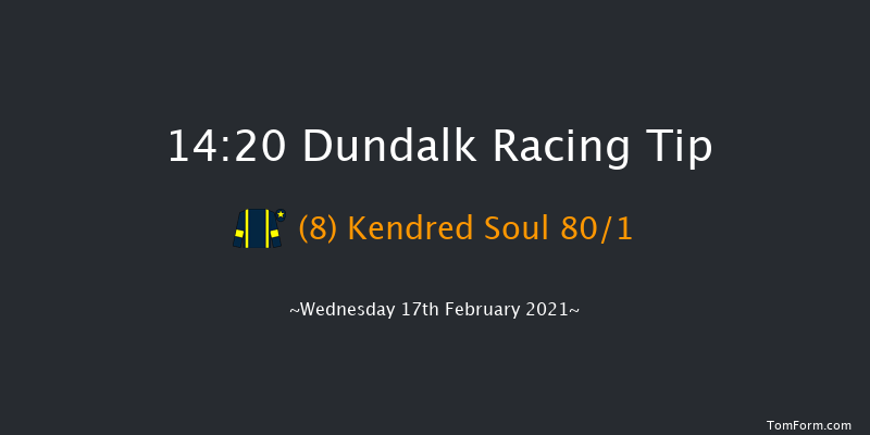 Irishinjuredjockeys.com Claiming Race Dundalk 14:20 Claimer 7f Fri 12th Feb 2021