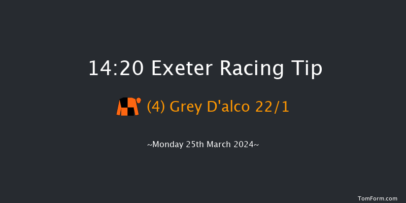 Exeter  14:20 Handicap Chase (Class 5) 19f Tue 19th Mar 2024