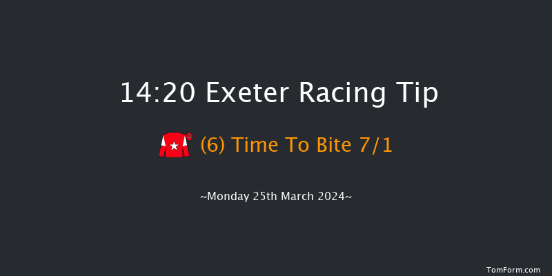 Exeter  14:20 Handicap Chase (Class 5) 19f Tue 19th Mar 2024