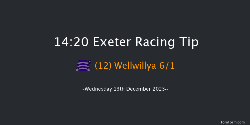 Exeter 14:20 Handicap Hurdle (Class 5) 18f Sun 26th Nov 2023