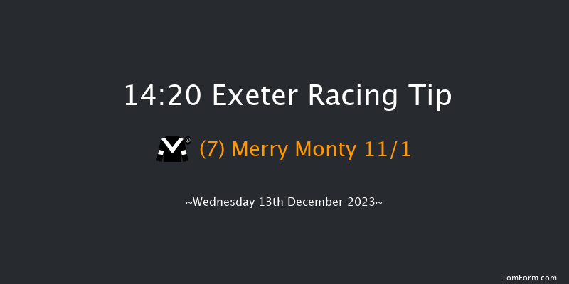 Exeter 14:20 Handicap Hurdle (Class 5) 18f Sun 26th Nov 2023