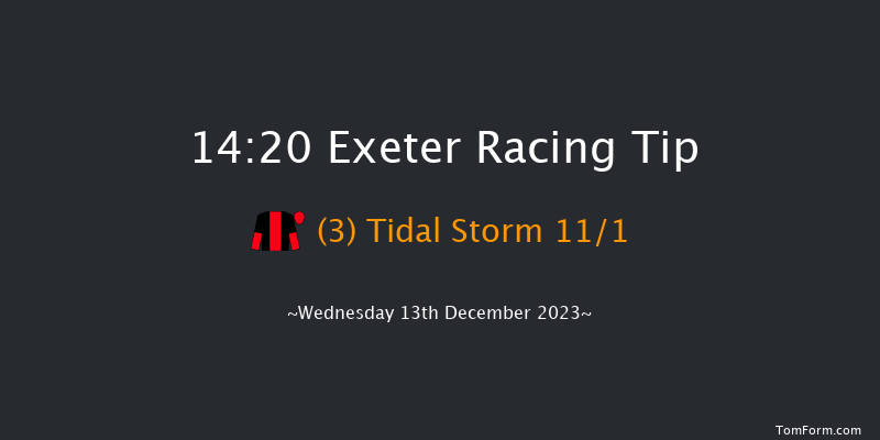 Exeter 14:20 Handicap Hurdle (Class 5) 18f Sun 26th Nov 2023