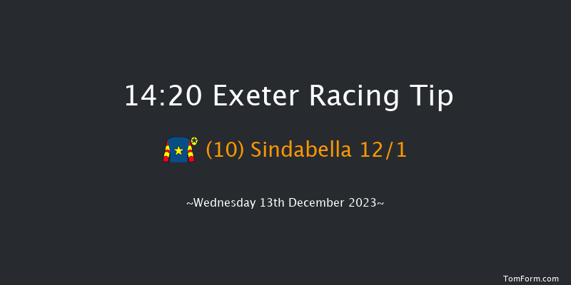 Exeter 14:20 Handicap Hurdle (Class 5) 18f Sun 26th Nov 2023