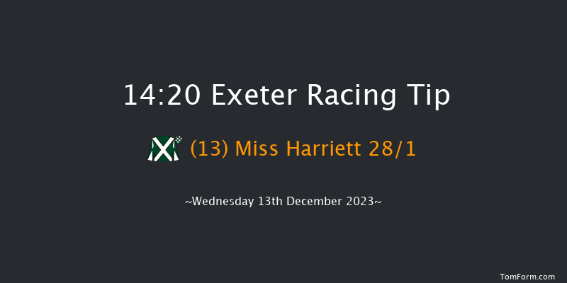 Exeter 14:20 Handicap Hurdle (Class 5) 18f Sun 26th Nov 2023