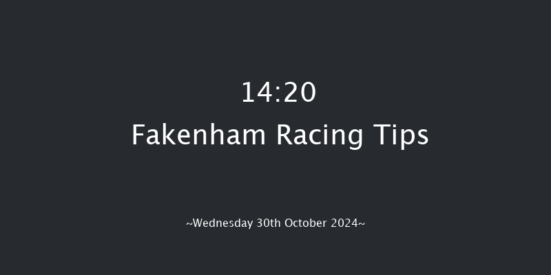 Fakenham  14:20 Handicap Chase (Class 5) 24f Fri 18th Oct 2024