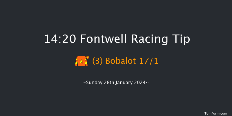 Fontwell  14:20 Handicap Hurdle (Class 5) 22f Tue 26th Dec 2023