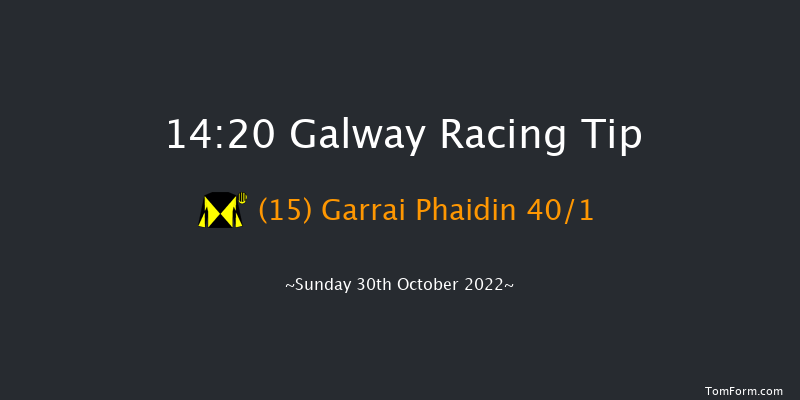 Galway 14:20 Handicap Chase 22f Sat 29th Oct 2022