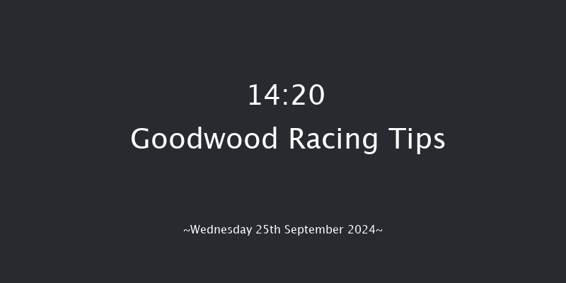 Goodwood  14:20 Maiden (Class 2) 10f Tue 3rd Sep 2024