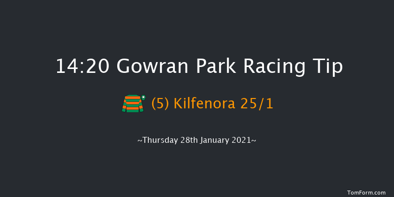 John Mulhern Galmoy Hurdle (Grade 2) Gowran Park 14:20 Conditions Hurdle 24f Fri 20th Nov 2020