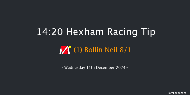 Hexham  14:20 Handicap Hurdle (Class 5) 23f Wed 20th Nov 2024