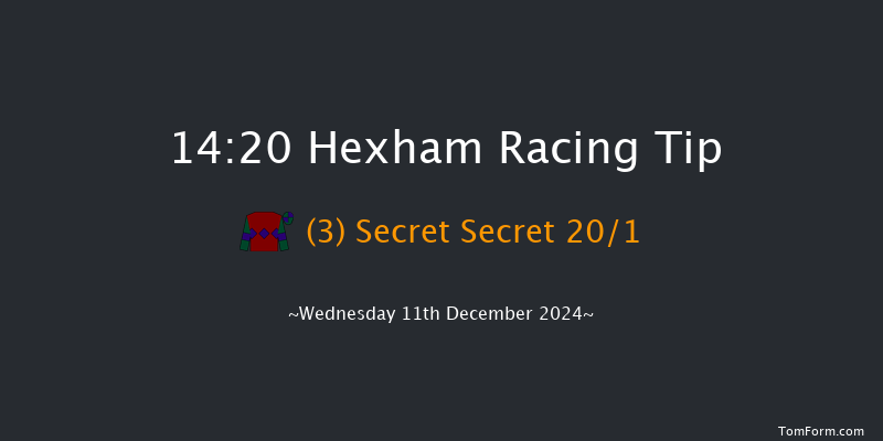 Hexham  14:20 Handicap Hurdle (Class 5) 23f Wed 20th Nov 2024