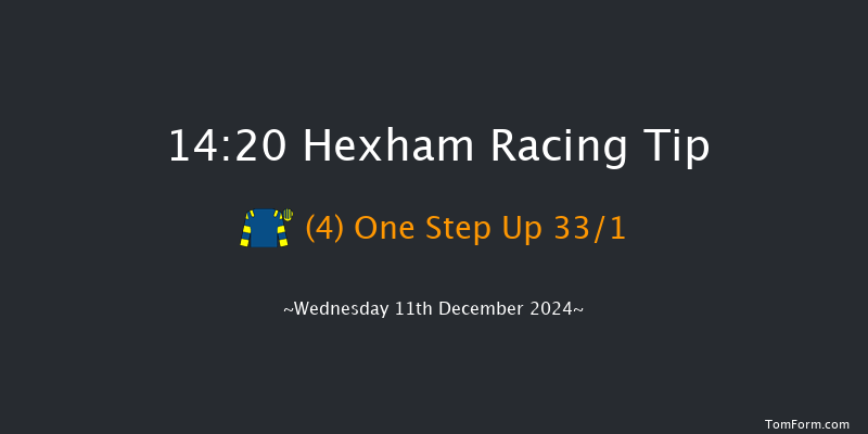 Hexham  14:20 Handicap Hurdle (Class 5) 23f Wed 20th Nov 2024