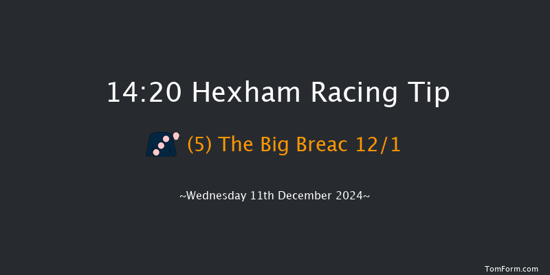 Hexham  14:20 Handicap Hurdle (Class 5) 23f Wed 20th Nov 2024