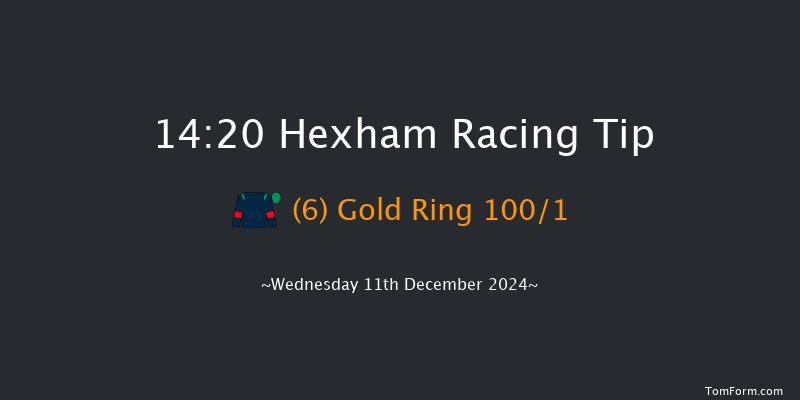 Hexham  14:20 Handicap Hurdle (Class 5) 23f Wed 20th Nov 2024