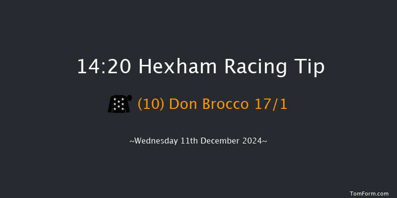 Hexham  14:20 Handicap Hurdle (Class 5) 23f Wed 20th Nov 2024