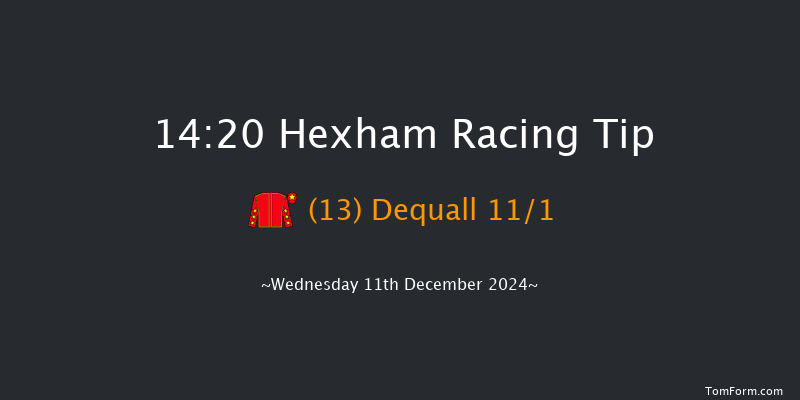 Hexham  14:20 Handicap Hurdle (Class 5) 23f Wed 20th Nov 2024