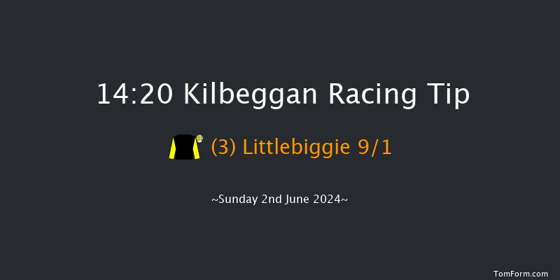 Kilbeggan  14:20 Novices Hurdle 25f Fri 17th May 2024