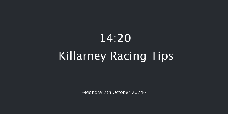 Killarney  14:20 Maiden 8f Sun 6th Oct 2024