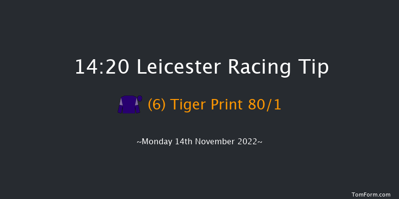 Leicester 14:20 Handicap Hurdle (Class 5) 16f Mon 24th Oct 2022