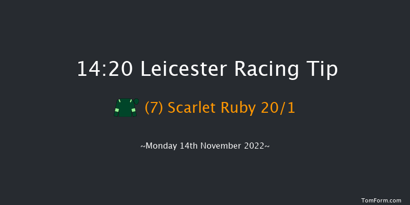 Leicester 14:20 Handicap Hurdle (Class 5) 16f Mon 24th Oct 2022