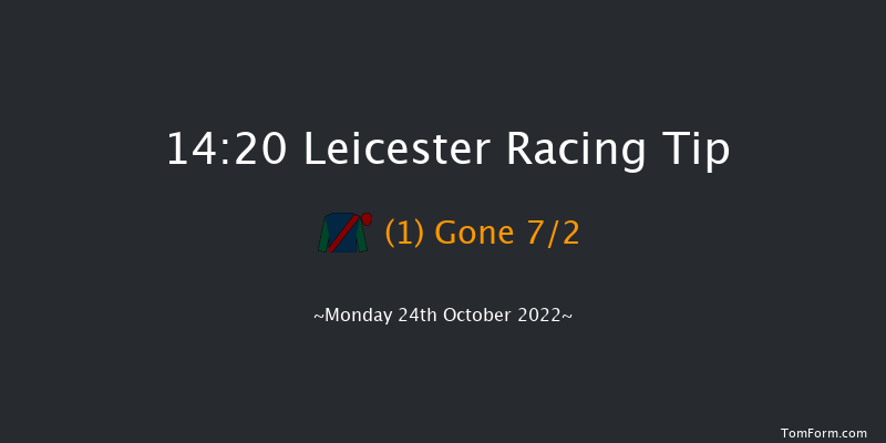 Leicester 14:20 Handicap (Class 6) 7f Tue 11th Oct 2022