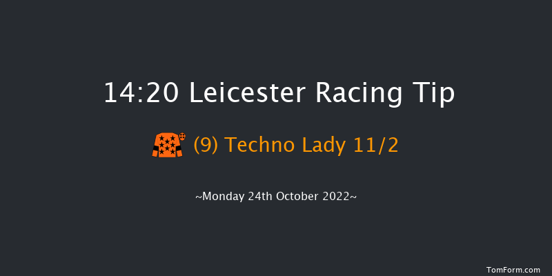 Leicester 14:20 Handicap (Class 6) 7f Tue 11th Oct 2022