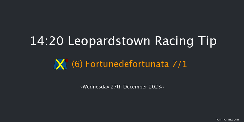 Leopardstown 14:20 Handicap Hurdle 16f Tue 26th Dec 2023