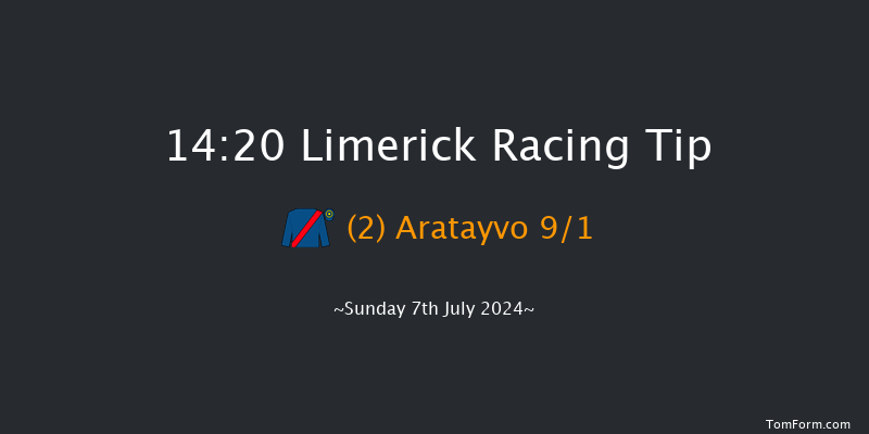 Limerick  14:20 Maiden 8f Sat 22nd Jun 2024