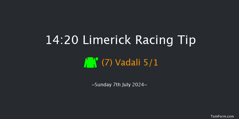 Limerick  14:20 Maiden 8f Sat 22nd Jun 2024