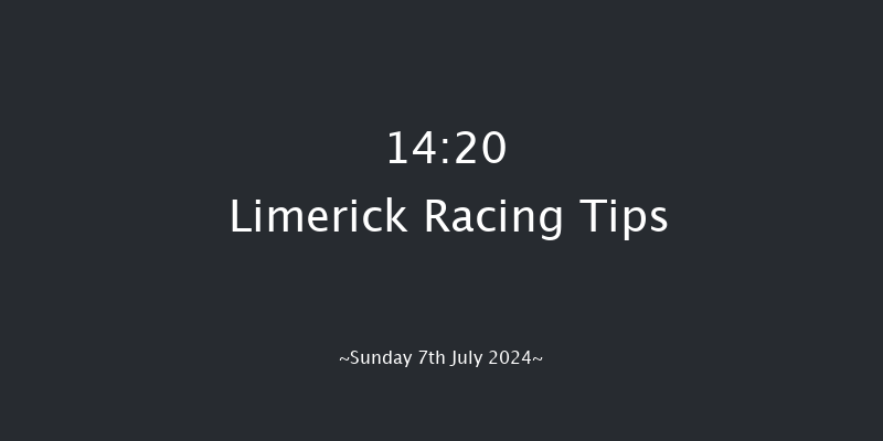 Limerick  14:20 Maiden 8f Sat 22nd Jun 2024