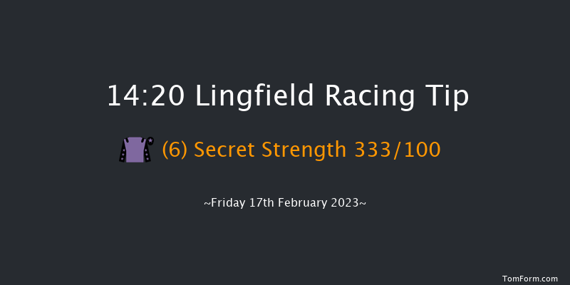 Lingfield 14:20 Handicap (Class 4) 7f Tue 14th Feb 2023