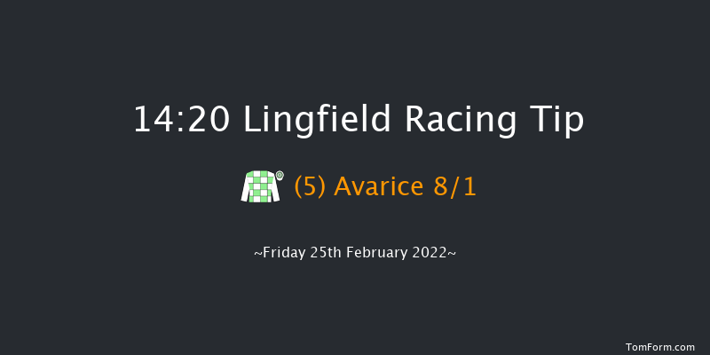 Lingfield 14:20 Handicap (Class 6) 12f Sat 19th Feb 2022