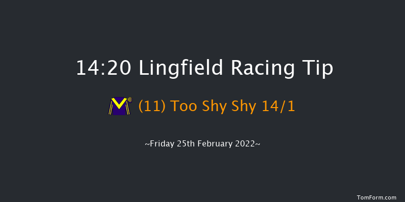 Lingfield 14:20 Handicap (Class 6) 12f Sat 19th Feb 2022