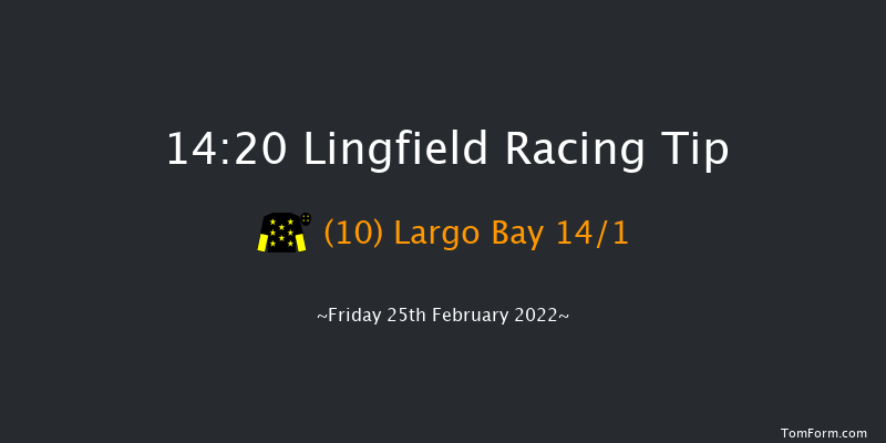 Lingfield 14:20 Handicap (Class 6) 12f Sat 19th Feb 2022