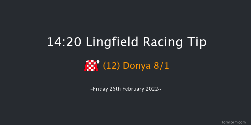 Lingfield 14:20 Handicap (Class 6) 12f Sat 19th Feb 2022