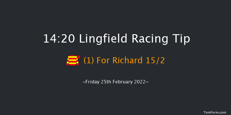 Lingfield 14:20 Handicap (Class 6) 12f Sat 19th Feb 2022