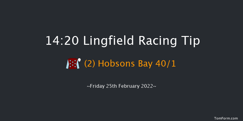 Lingfield 14:20 Handicap (Class 6) 12f Sat 19th Feb 2022