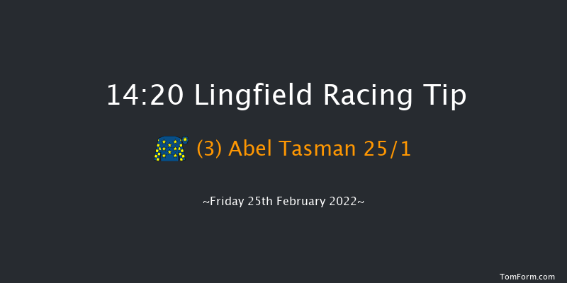 Lingfield 14:20 Handicap (Class 6) 12f Sat 19th Feb 2022