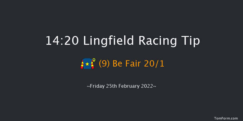 Lingfield 14:20 Handicap (Class 6) 12f Sat 19th Feb 2022