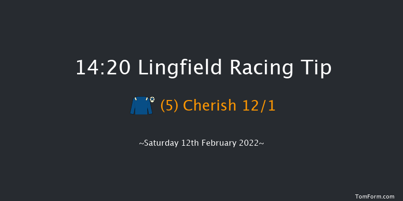 Lingfield 14:20 Handicap (Class 5) 6f Sat 5th Feb 2022