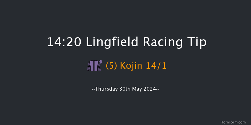 Lingfield  14:20 Handicap (Class 5) 16f Tue 28th May 2024