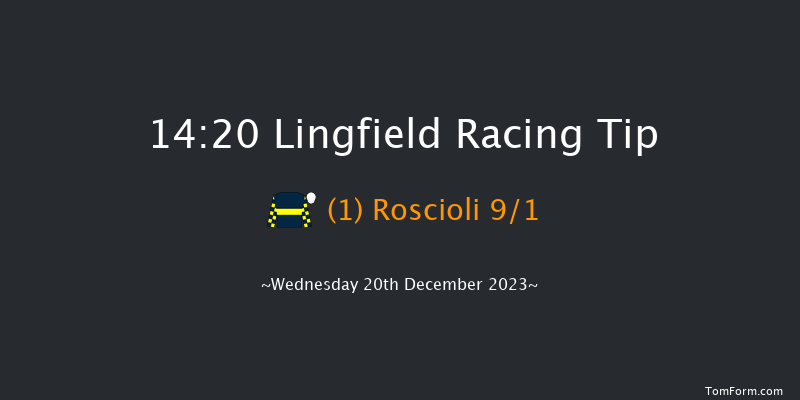 Lingfield 14:20 Handicap (Class 6) 8f Wed 13th Dec 2023