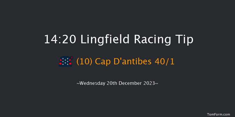 Lingfield 14:20 Handicap (Class 6) 8f Wed 13th Dec 2023